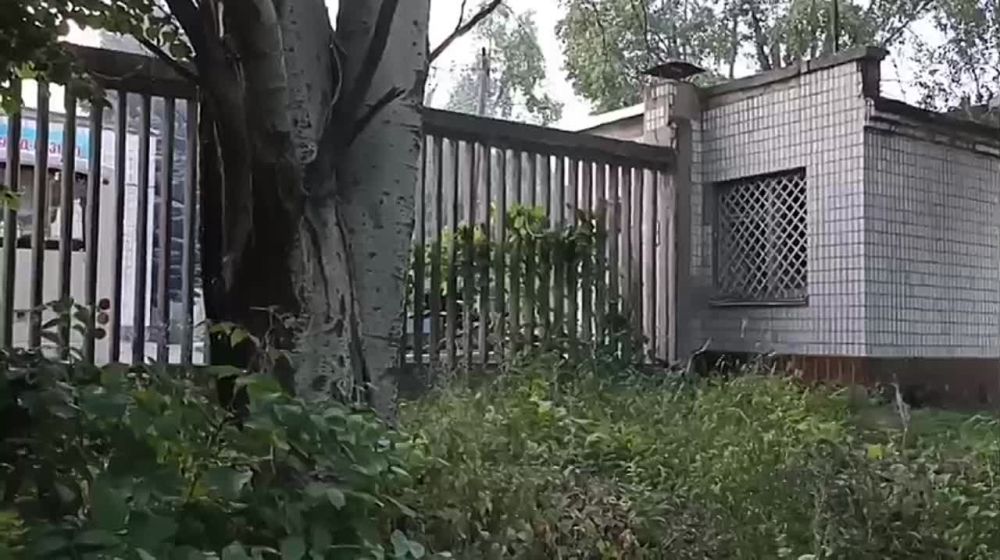 ����������� ���� ������� ���� ���� ������� ����� �� �������