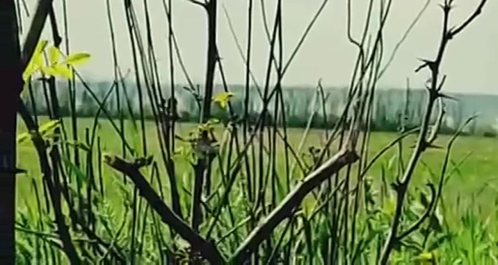 ���������� ��� �������� �� �������� ��� ��� ���-������