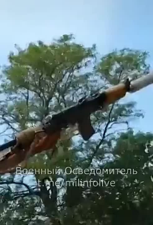 ��������� ���������� ������� �� ��������������� ������ �������� �� ���� ������������, �� ����������� �� �������� �� �� ��������� ����������� �� ��������