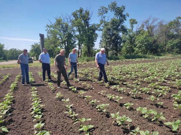 �������� ������� ������� � �������������� � �������� ������������������ �������������� ������������ ������