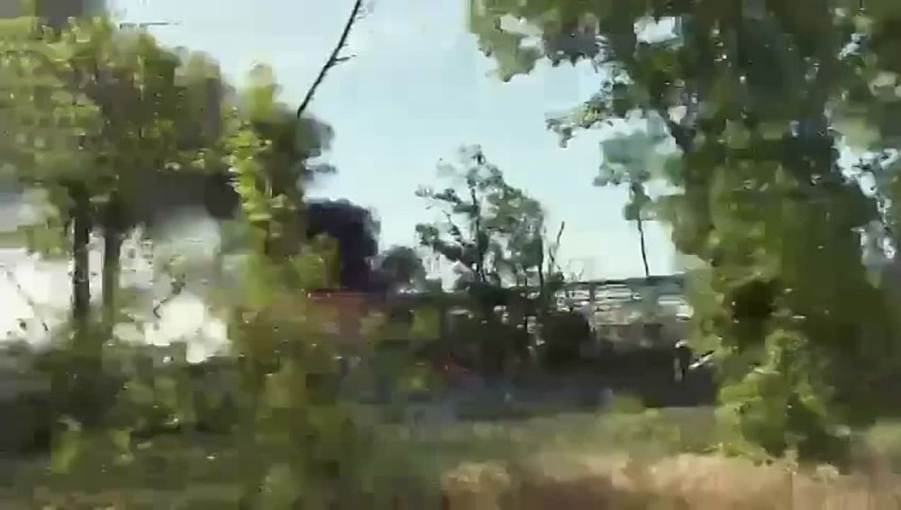 ����: � ��������� ������������ ������������ ��������