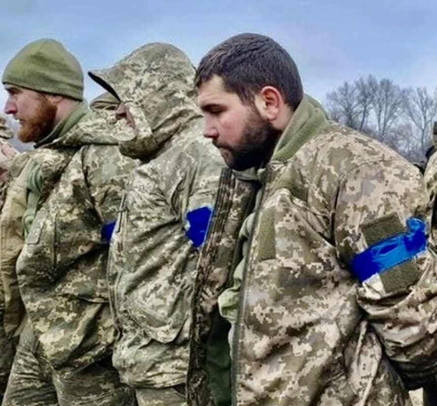 ������� ��� ���������: ������� ������ ��������� � ������������� � ����� ���