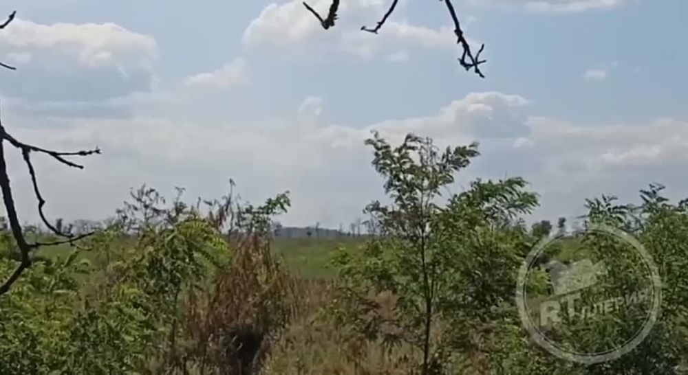 ���������� ������� � ������ �������� ���������� ����� �����������