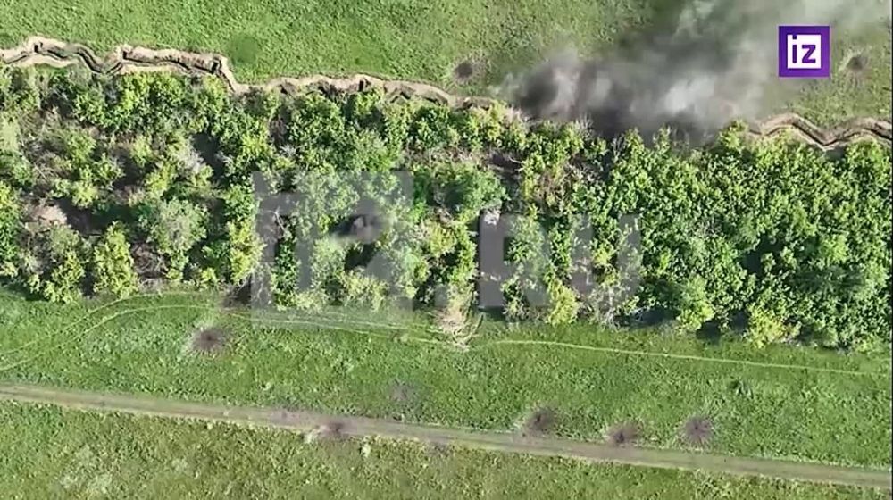 ������ �������� � ������ �������� ������� ������������� "��������" ����� ������