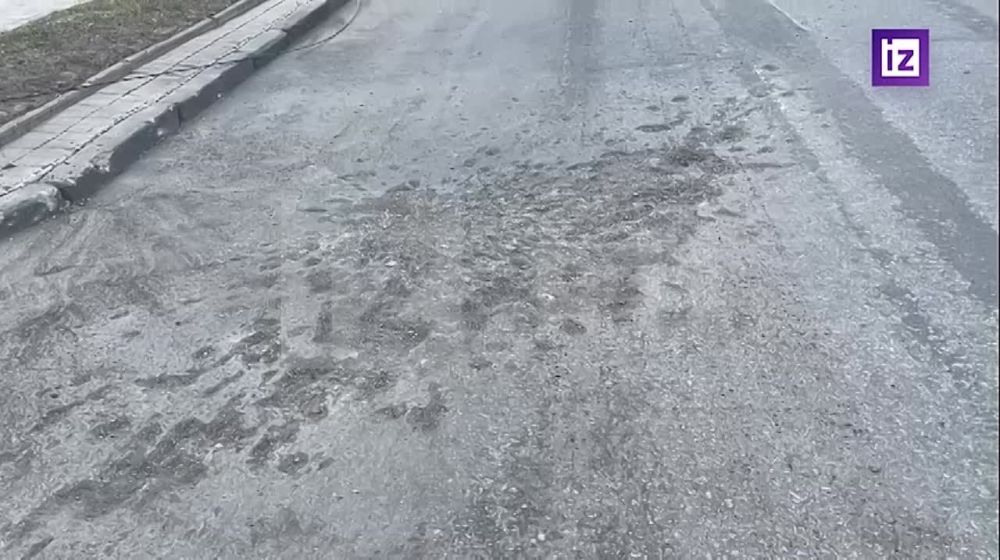 ������������� "��������" ����� ��������� ������� ����������� ��������� ��������� ������� �� ������� ���������� �������������