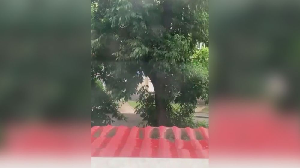 ������ ��������� ������� �� ���� ������ ���� ������� ����� �� �����