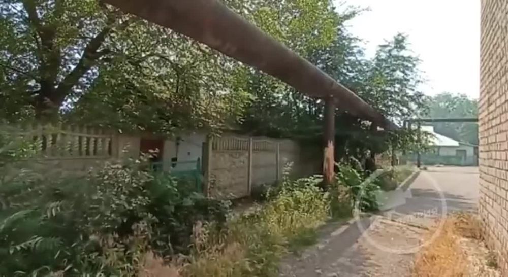 � ������� ����� ������ �������, � ������ ���� ��� ������������ �����