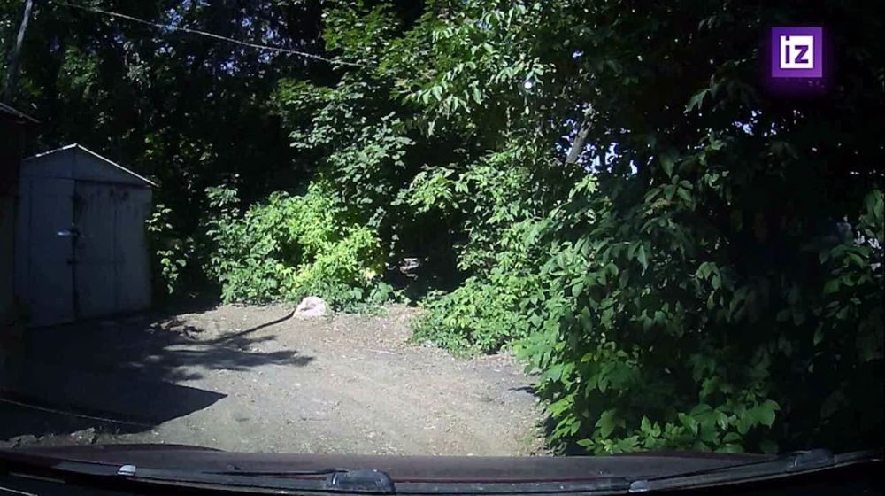 ����� ������� ������� ������� ��� � ������� ����� � ��������� ������� "��������"