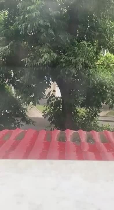 � ���� ���������������� ����� ��������� ������� �� ���� ������ ���� � �������