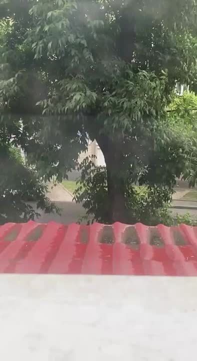 ����� 155�� � ����� �������