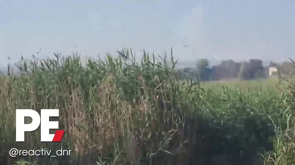 ����������� �� ������ ��������������� ����������� ���� � ������ ������