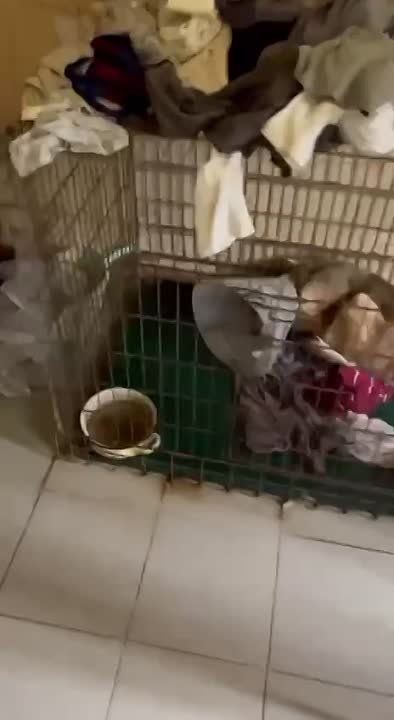 �������� ����� ��� �������� ����� ����� ����������� ��������� ������