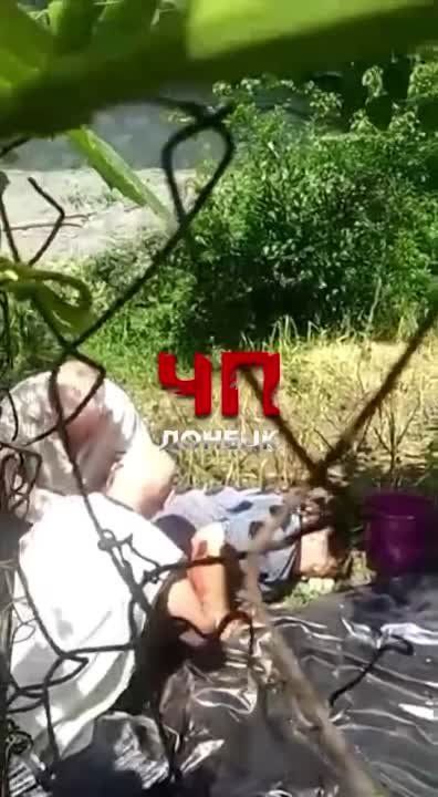 ����� ��������� ������������ ������������������� ������ �������� ���������� ������� ������� ������ ������ ������