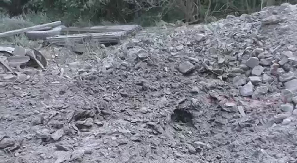 ��� ������� ������ ��������� @diza_donbass ������� �� ���-������� �����������