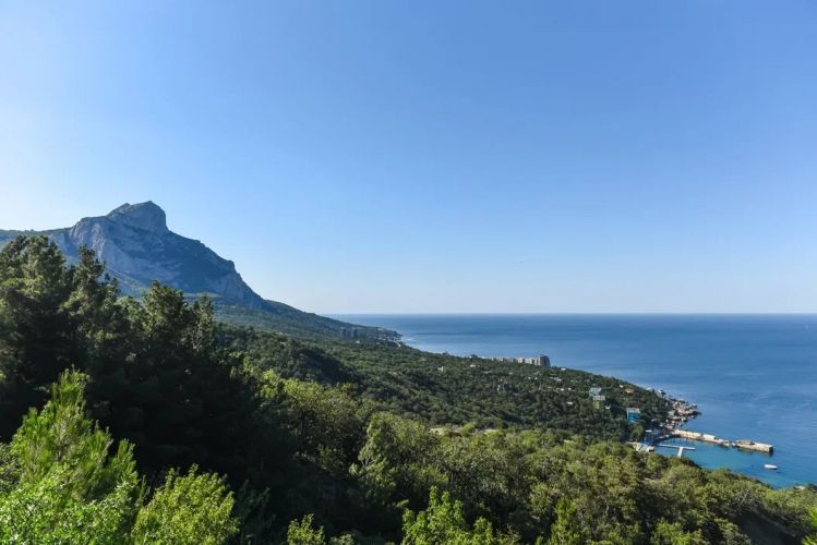 �������� �������� �� ������ ������ �������������� ������� � ��������������� ������