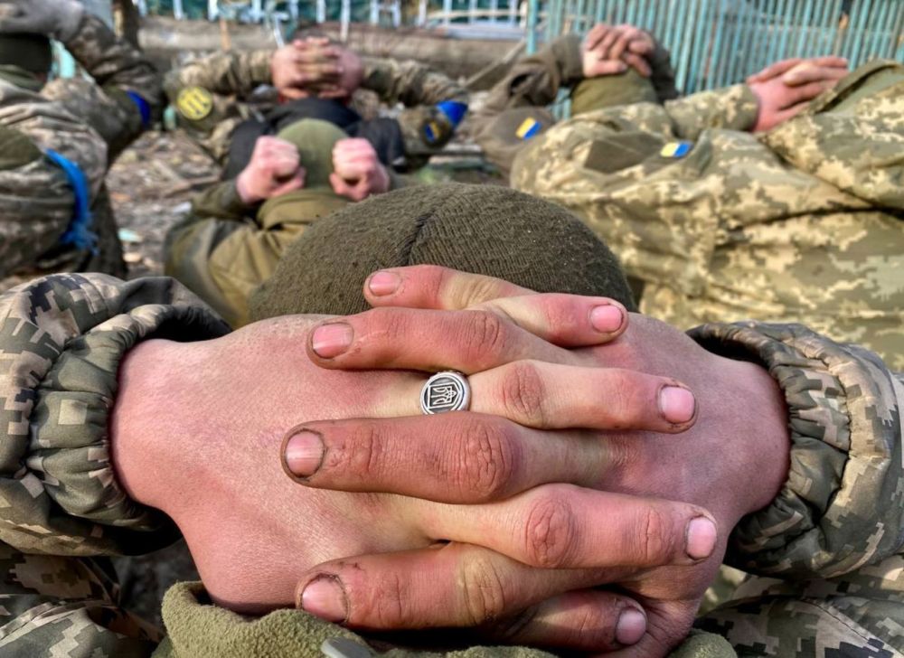 ������� ����������� ��������������� ������� �� ����������, � ��������� ��� �� ������ �������