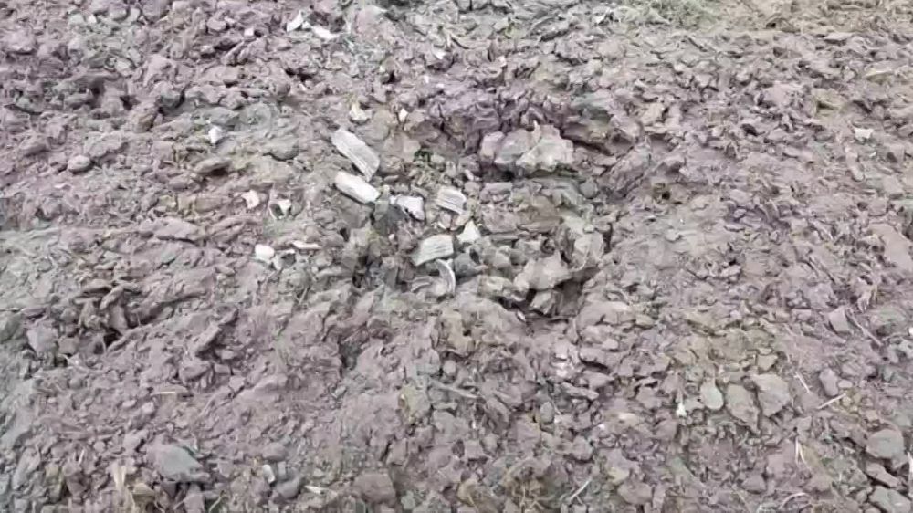 ����������� ��������� ����������� ������ ������� � �������� ��������� Readovka � ����� �������