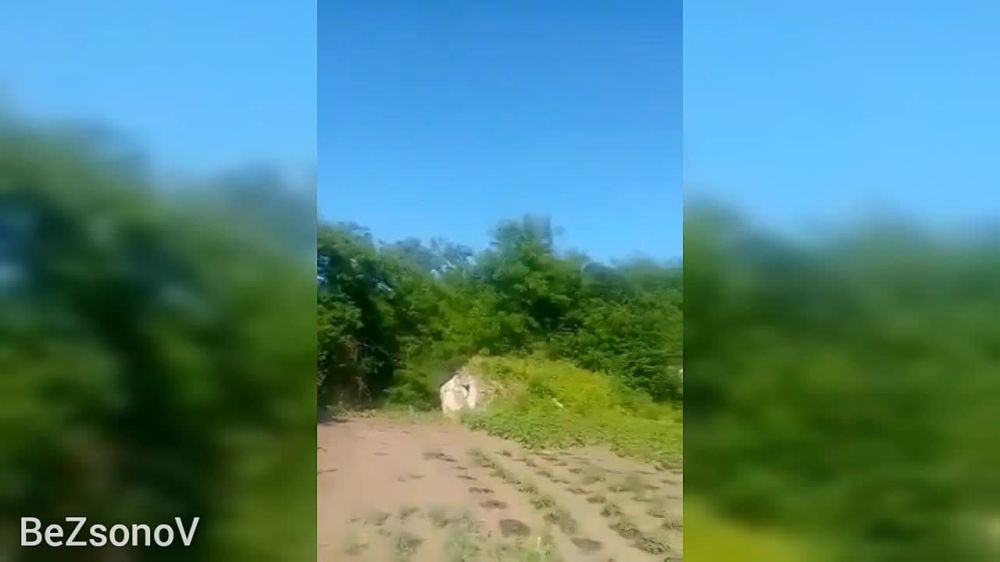 ���������� ����� ����� �� ��������
