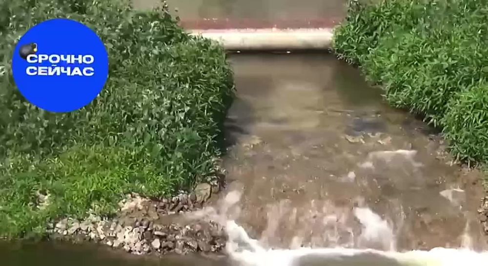 � ��� ��������� ����� ������� �� ����������� �������������, ������� �������� ����� ������ ���� �� �����