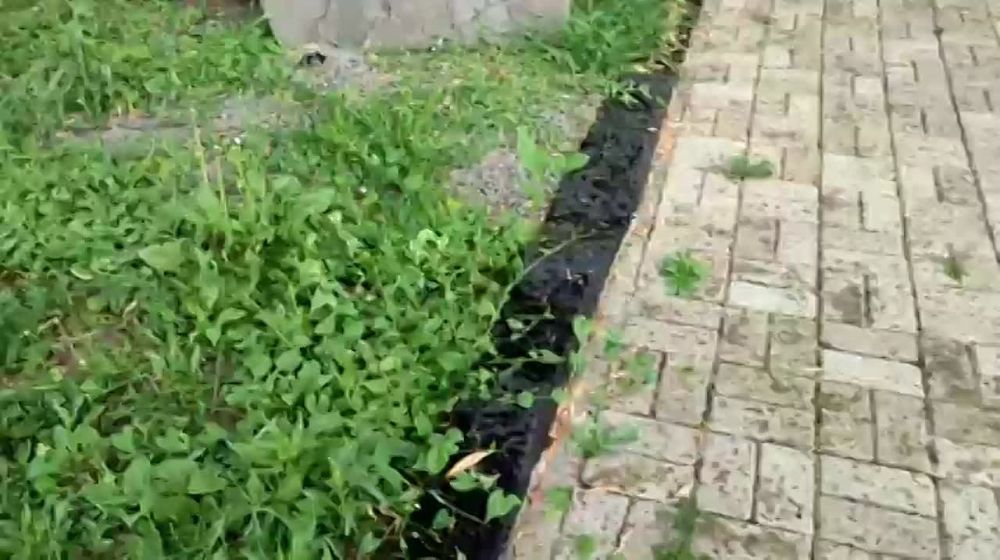 �������� �������� �������� ���������� ���������� � ����������