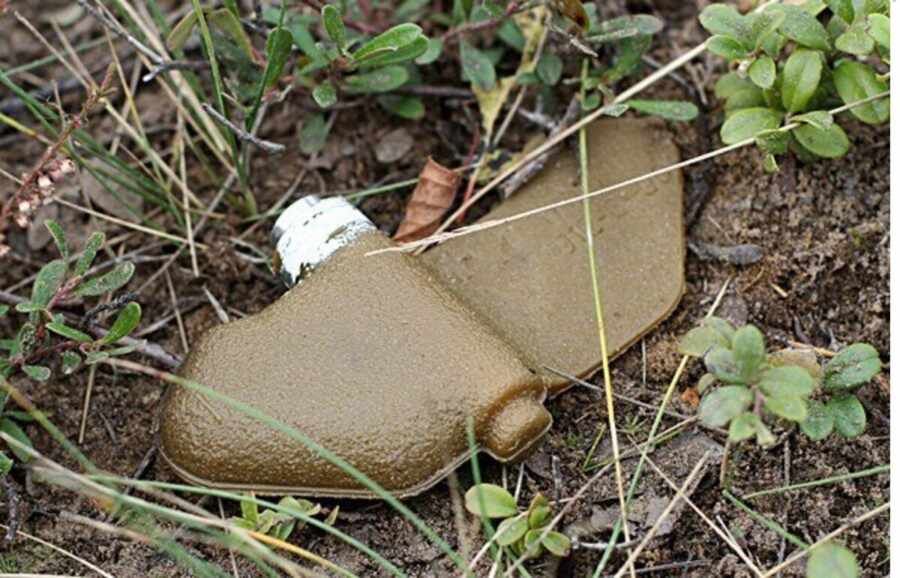 ��� ��������� � ���� ����������� ����