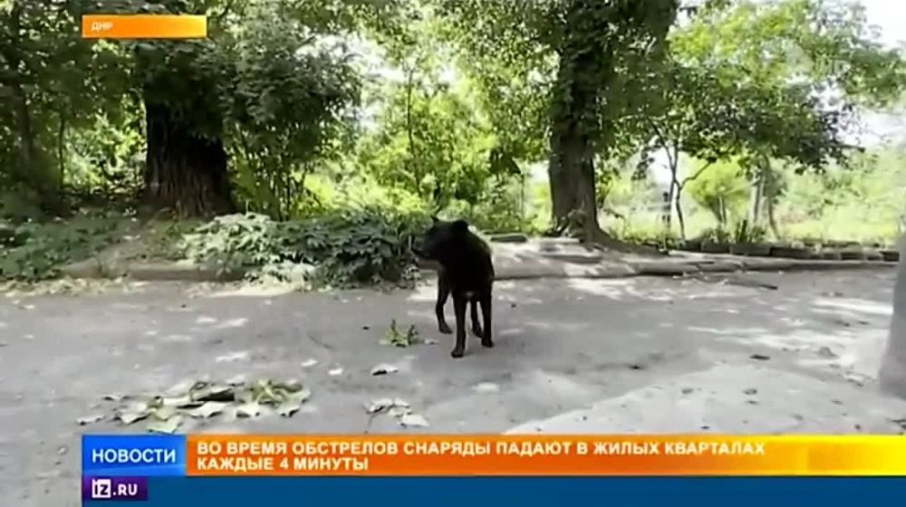 ������� ����� �� �������� ����� ������ �� ��������� ����������� ����������� ����������