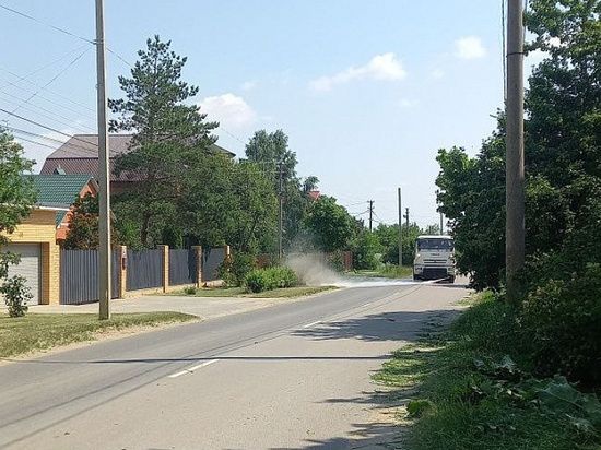 � ���� ������������ ������ ������