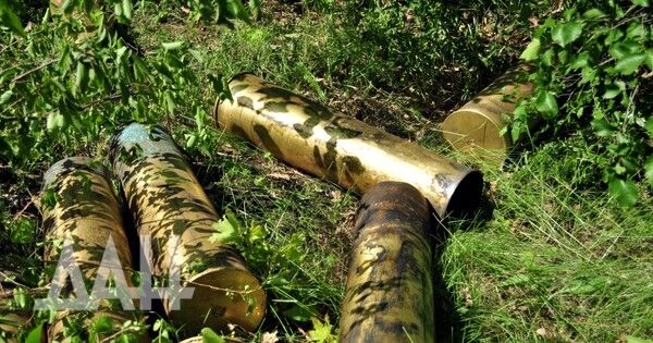 ������� ���� ���������� ������� 40 ���������� �������� � �������� ��� �� ������� �����