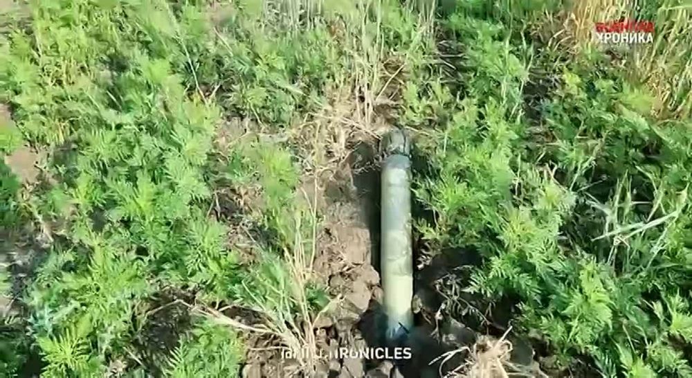 ��� ������� ������ ������� ������� ��������, ������ � ������������� ������� ����� ����� ��������� � ������������