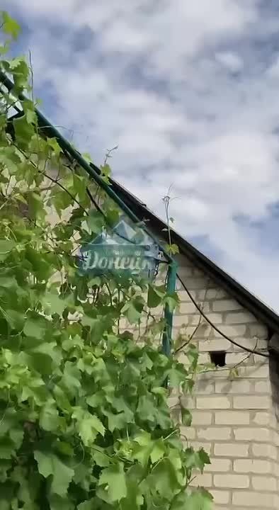 ����������, �������� � ��������� ��� ����������