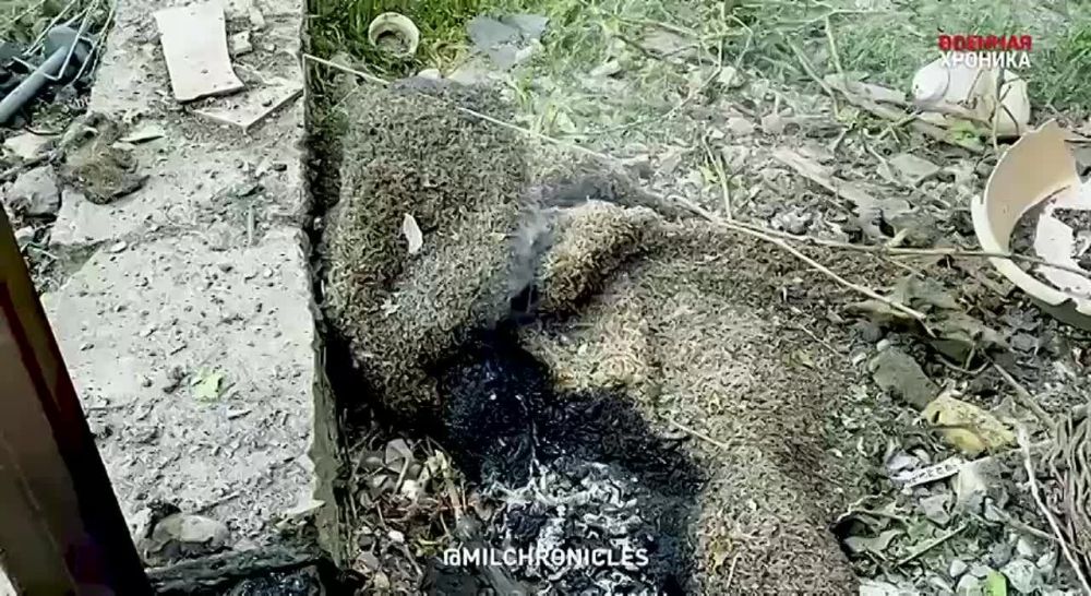 �� �� ����� ������ ���� ������� �������� ��� �� ������ ������� � ����������