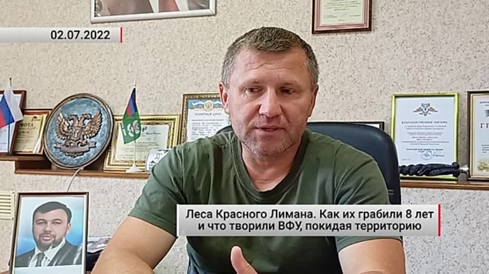 Леса Красного Лимана. Как их грабили 8 лет и что творили ВФУ, покидая территорию. Актуально. 03.07.2022