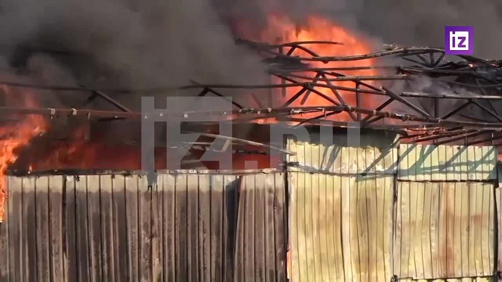 "�� �������, ��������! �������!"