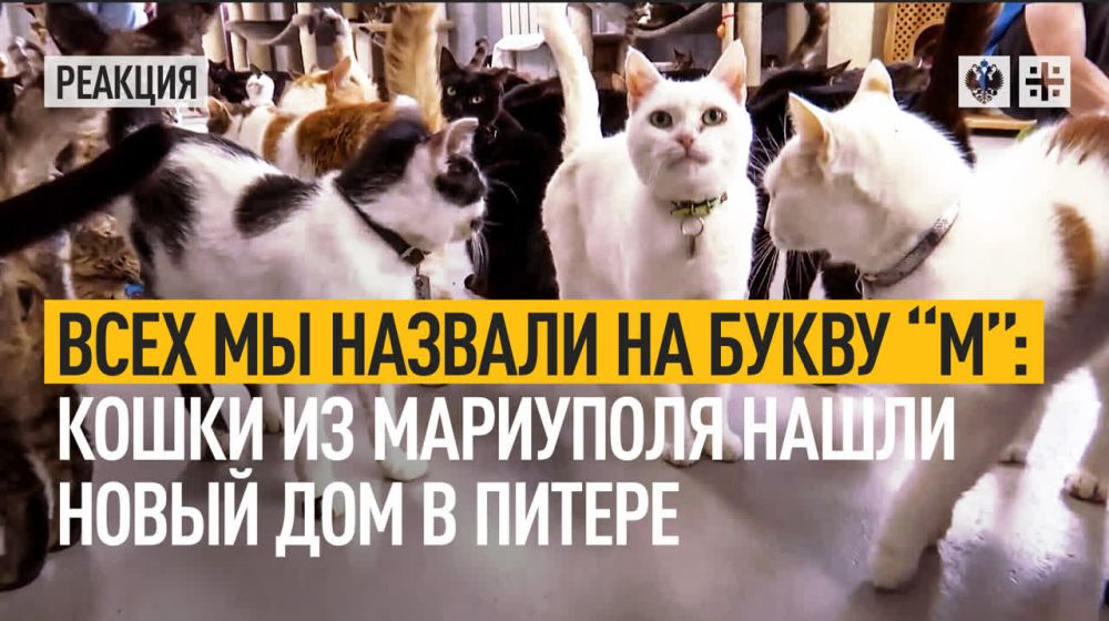 � ������ "��������� ������" ����������, �������� 13 ����� �� ���������. �������� ����������� ������� ��������� ���������, ��� �������� ������� � ������ ���������. ������ ��� �� ����������� � ��� ������ ����� ������ �� ��������