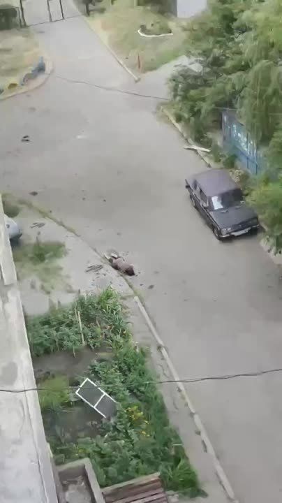 � ������ �������� ����� �� ������ � ���������� ����������� ������� ������� �������