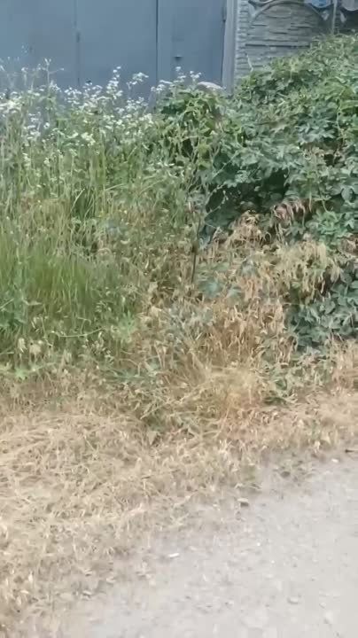 ������ ������������ ����� ������ ��������