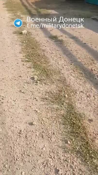 ������������ �����. ����������� �������� �� ��. �����������
