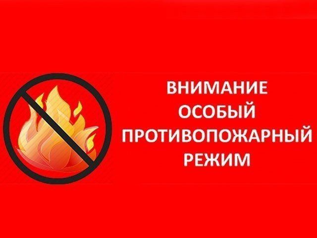 �������� ������ ��� ��������-������������ ����� �.����� ��� ��л �� ���������� ������ ��������� ������ ������� ���������� � �������� � ������� �� ��� �����
