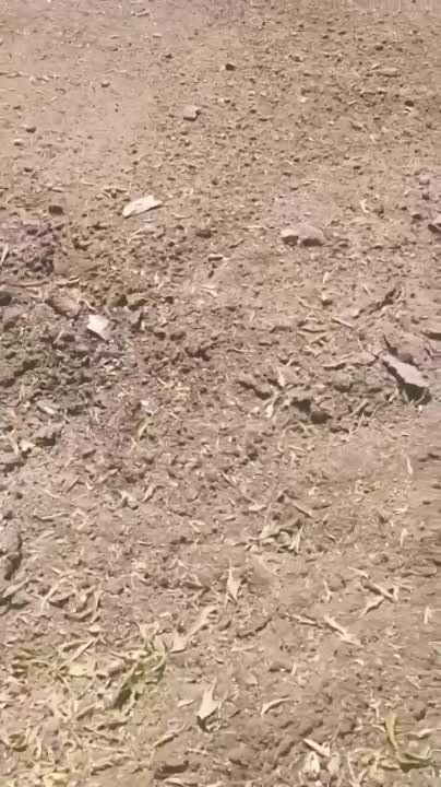 ����������� �������� ���������� ������ �������