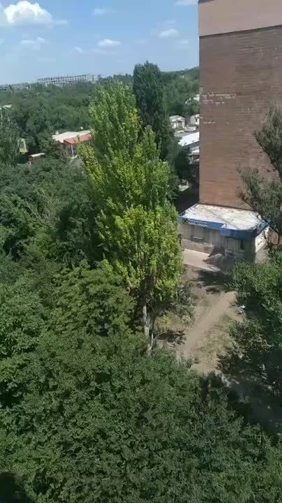 ������, ������� - ��� ��������� ���