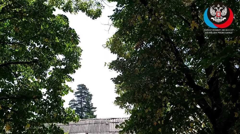 Общественная приёмная в бомбоубежище