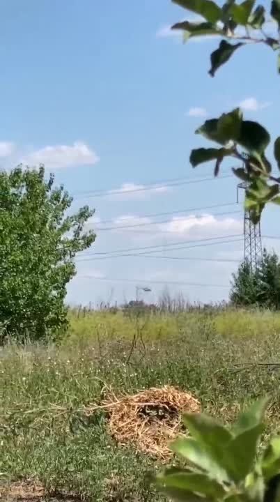 �������� ����� ������� �������� ��-�� ��������� ��������� �����