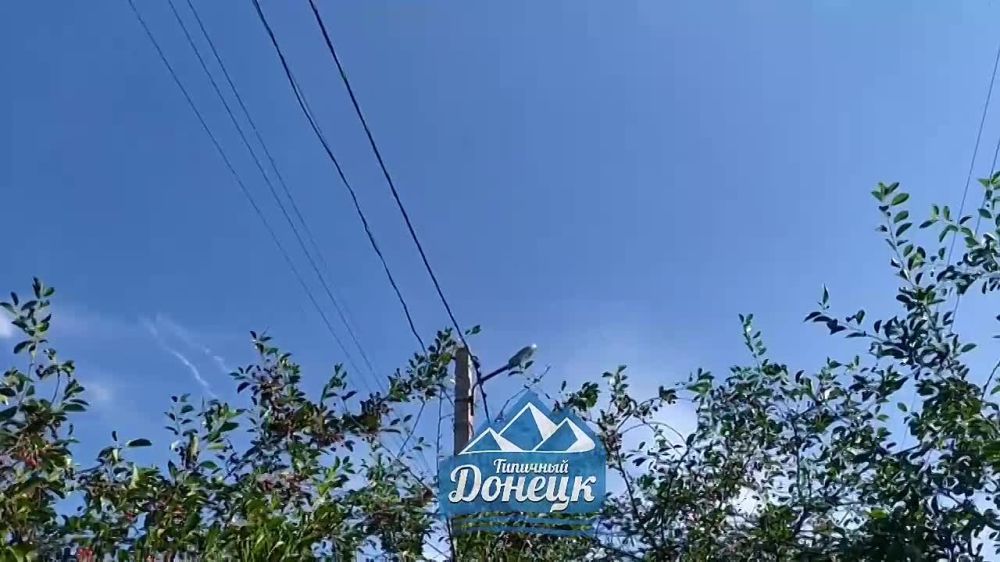 ��-25�� ��� �� ��� ��������