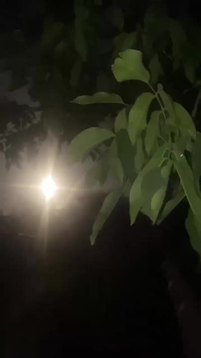 ���� ������ � ��� ����� ��� ������ �� �������