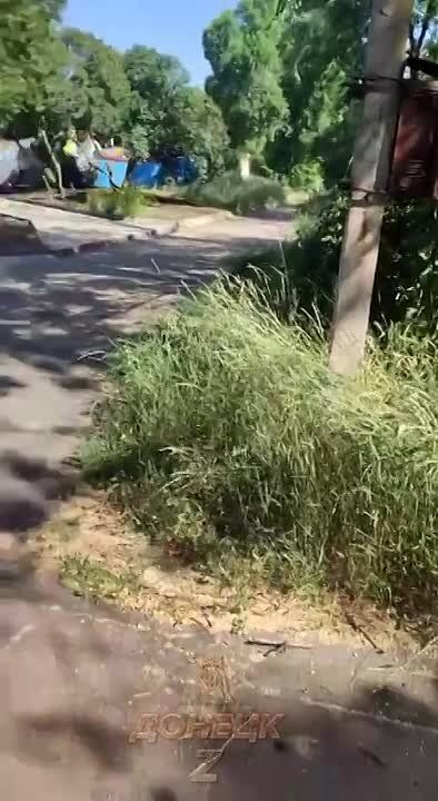 ������� ��������. ���� ��������