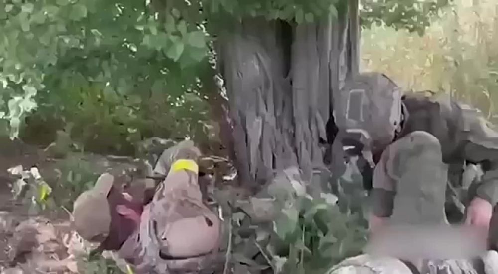 ����� ������� ������ ���������� ����������� ������ ������ ����������, ������ 5 ���� � ���