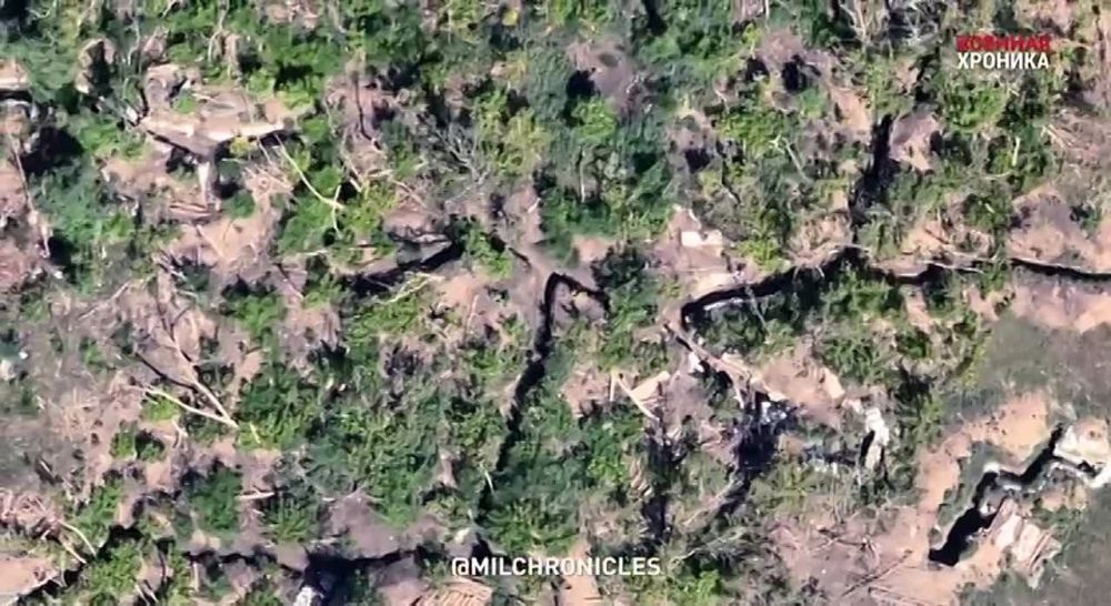 ���������� ������� ����� ����� �� ������ ����� �� �������� ���������� ��������, � �� ������ ��������� ���� ��������������� � �������� ��������� �������� �������, ��������� ������ �������