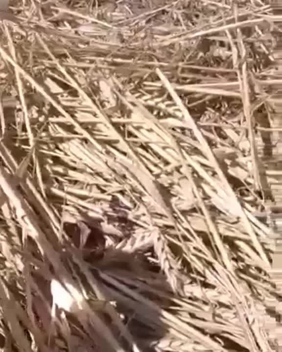 �� ��������� ����� � ���������� ������� ��������� ����������� � ������� � � ��������� ���� ��� ��������� ������