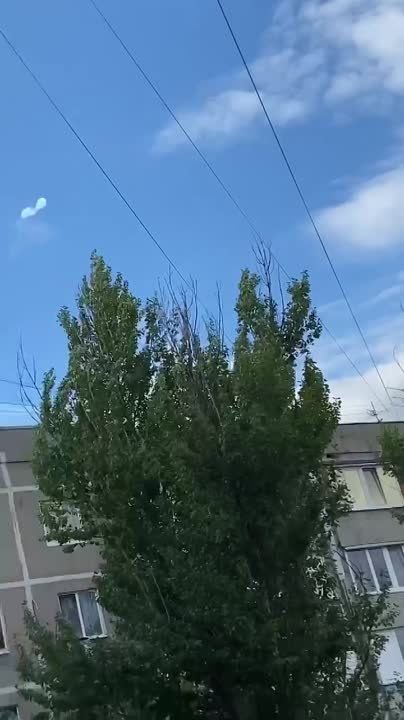 ������� ��� ������������ ������ ���: ��� � �������� � ��������� ������� ��������� ���� ����������