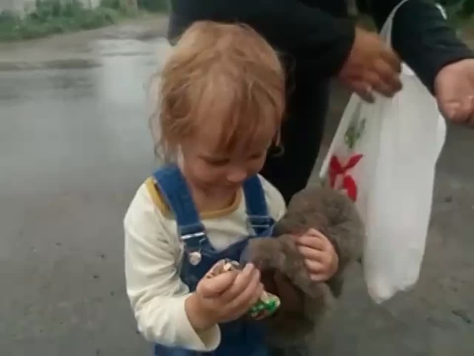 ���� �� ����������� ��������� ���������� ��� � ���� ���������� ���